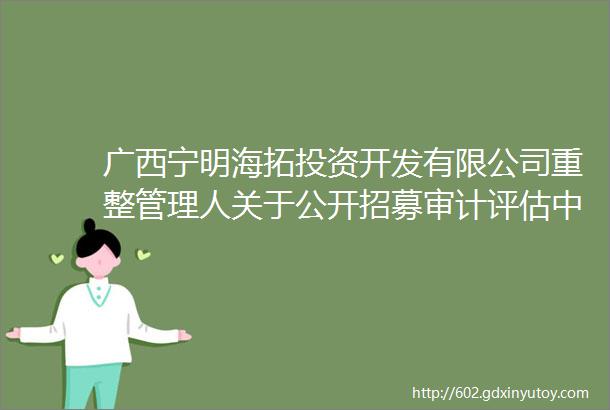 广西宁明海拓投资开发有限公司重整管理人关于公开招募审计评估中介服务机构的公告